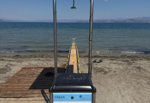 Β. Κυνουρία Ατσίγγανος